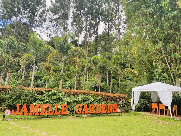 Jamelle-Gardens-trees